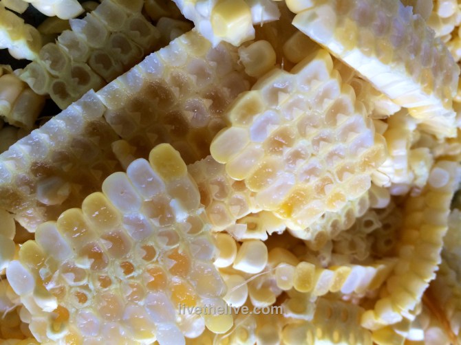 corn1