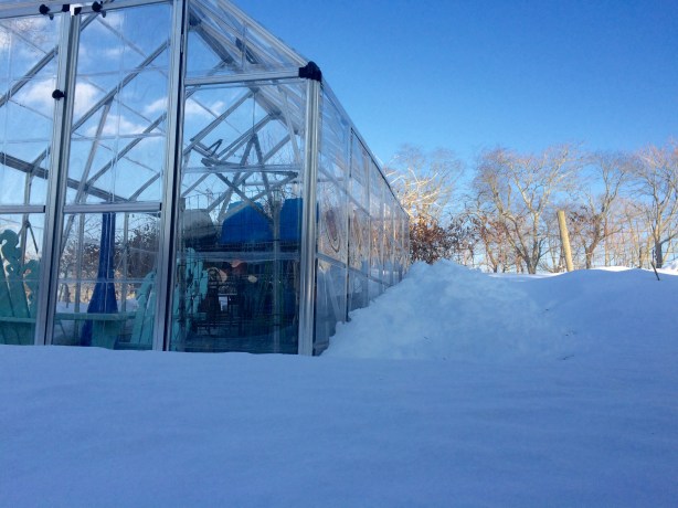 I hear snow makes a great insulator. If that's the case, I've got an insulation bonanza!