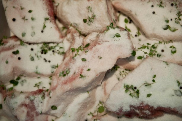 4445B294-694F-4519-AB71-778490B12592